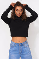 Black Crop Polo Neck Jumper